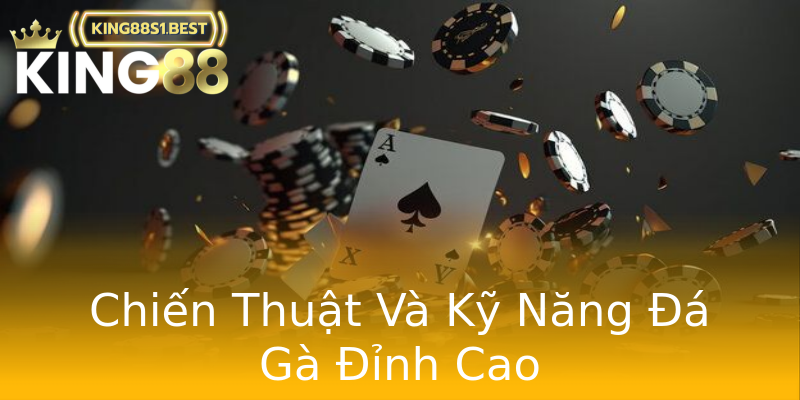 Chiến Thuật Và Kỹ Năng Đá Gà Đỉnh Cao Chiến Thuật Và Kỹ Năng Đá Gà Đỉnh Cao