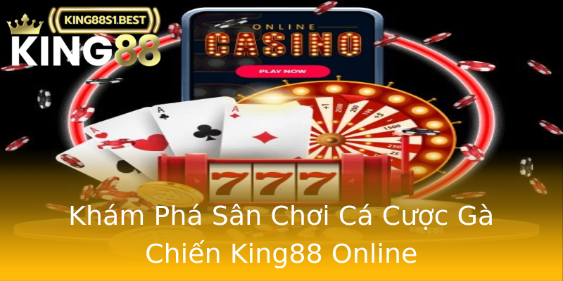Khám Phá Sân Chơi Cá Cược Gà Chiến King88 Online Khám Phá Sân Chơi Cá Cược Gà Chiến King88 Online